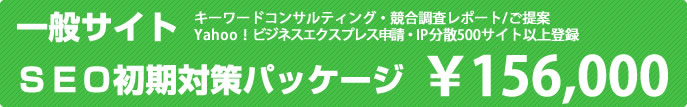 一般サイトSEO初期対策パッケージ料金¥156,000