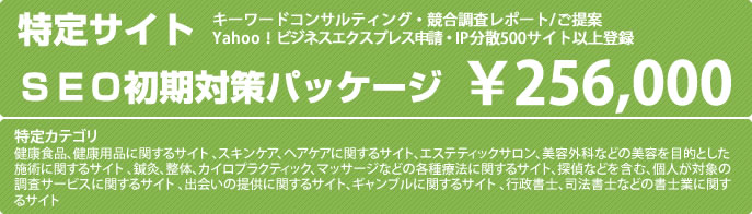 特定サイトSEO初期対策パッケージ料金¥256,000