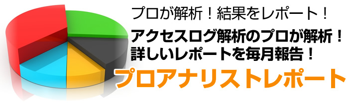アクセスログ解析のプロが解析!詳しい解析レポートを毎月報告するサービス プロアナリストレポートのアクセス解析で集客力アップ
