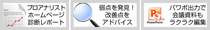 アクセスログ解析のプロアナリストはホームページをプロが診断・レポート!アクセスログ解析で弱点を発見!解析結果から改善点をアドバイス!パワーポイント出力で会議資料もラクラク編集!