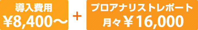 アクセスログ解析レポート! 導入費用¥8,400~、プロアナリストレポート月々¥16,000
